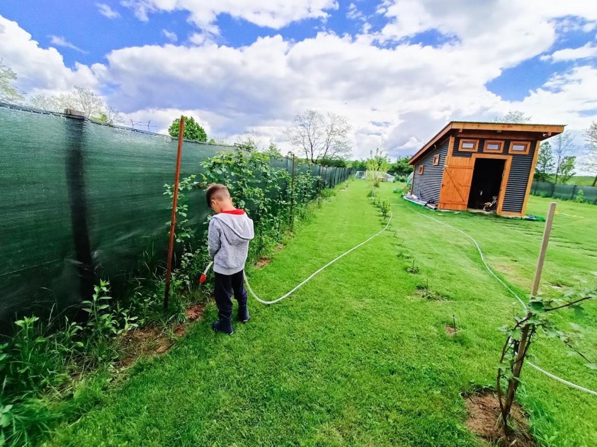 Tiny House - Baia De Fier Hotel ภายนอก รูปภาพ